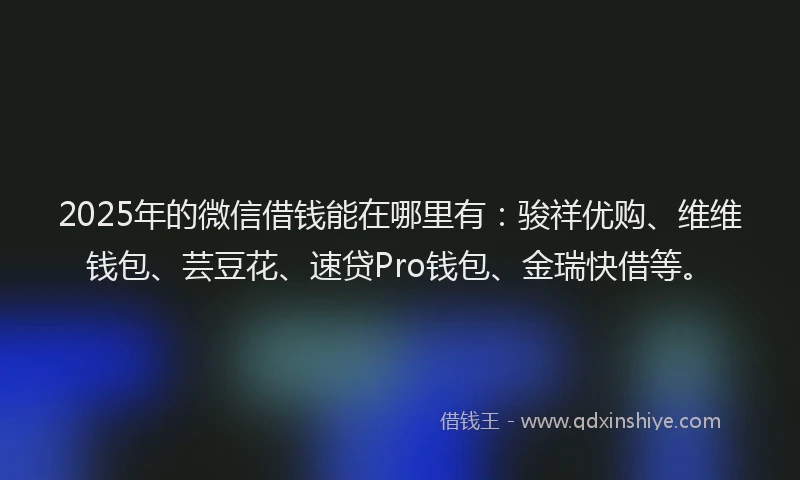 2025年的微信借钱能在哪里有：骏祥优购、维维钱包、芸豆花、速贷Pro钱包、金瑞快借等。