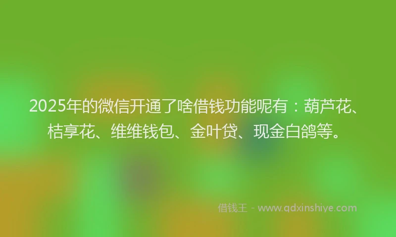 2025年的微信开通了啥借钱功能呢有：葫芦花、桔享花、维维钱包、金叶贷、现金白鸽等。
