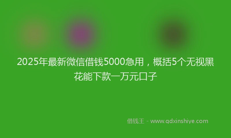 2025年最新微信借钱5000急用，概括5个无视黑花能下款一万元口子