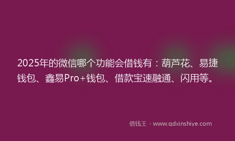 2025年的微信哪个功能会借钱有：葫芦花、易捷钱包、鑫易Pro+钱包、借款宝速融通、闪用等。