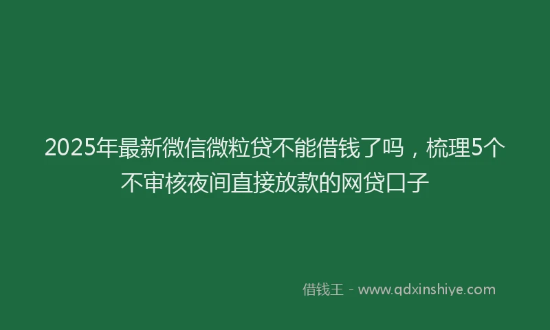 2025年最新微信微粒贷不能借钱了吗，梳理5个不审核夜间直接放款的网贷口子