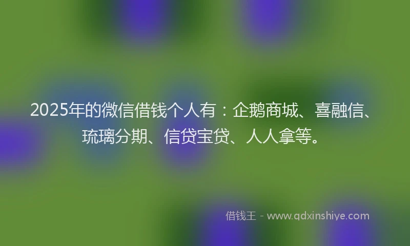 2025年的微信借钱个人有：企鹅商城、喜融信、琉璃分期、信贷宝贷、人人拿等。