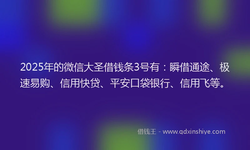2025年的微信大圣借钱条3号有：瞬借通途、极速易购、信用快贷、平安口袋银行、信用飞等。