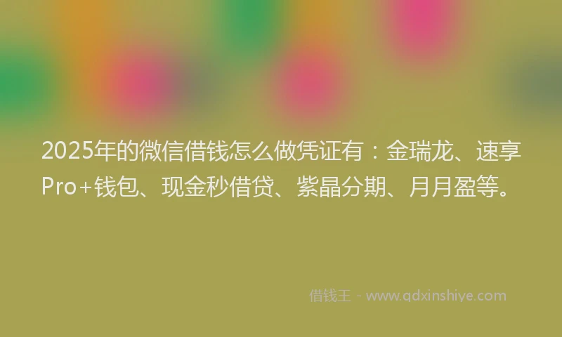 2025年的微信借钱怎么做凭证有：金瑞龙、速享Pro+钱包、现金秒借贷、紫晶分期、月月盈等。