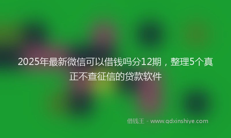 2025年最新微信可以借钱吗分12期，整理5个真正不查征信的贷款软件