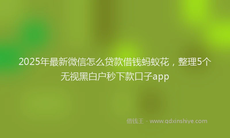 2025年最新微信怎么贷款借钱蚂蚁花，整理5个无视黑白户秒下款口子app