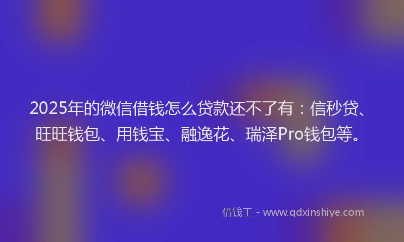 2025年的微信借钱怎么贷款还不了有：信秒贷、旺旺钱包、用钱宝、融逸花、瑞泽Pro钱包等。