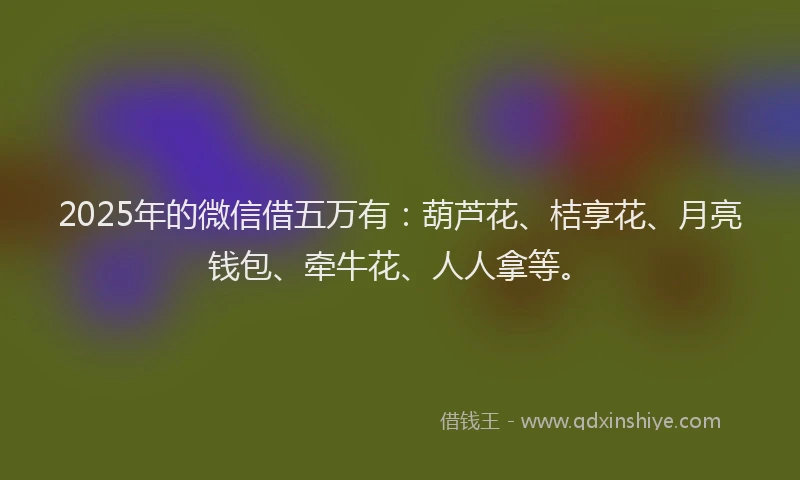 2025年的微信借五万有：葫芦花、桔享花、月亮钱包、牵牛花、人人拿等。