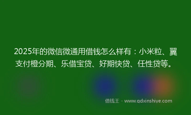 2025年的微信微通用借钱怎么样有：小米粒、翼支付橙分期、乐借宝贷、好期快贷、任性贷等。