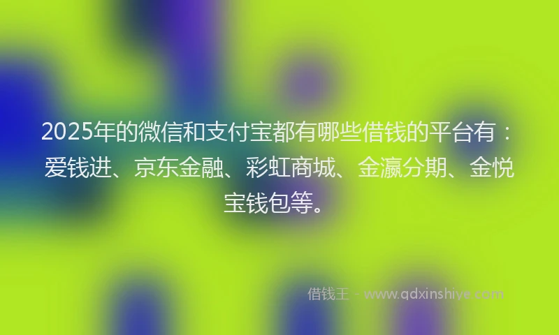 2025年的微信和支付宝都有哪些借钱的平台有：爱钱进、京东金融、彩虹商城、金瀛分期、金悦宝钱包等。