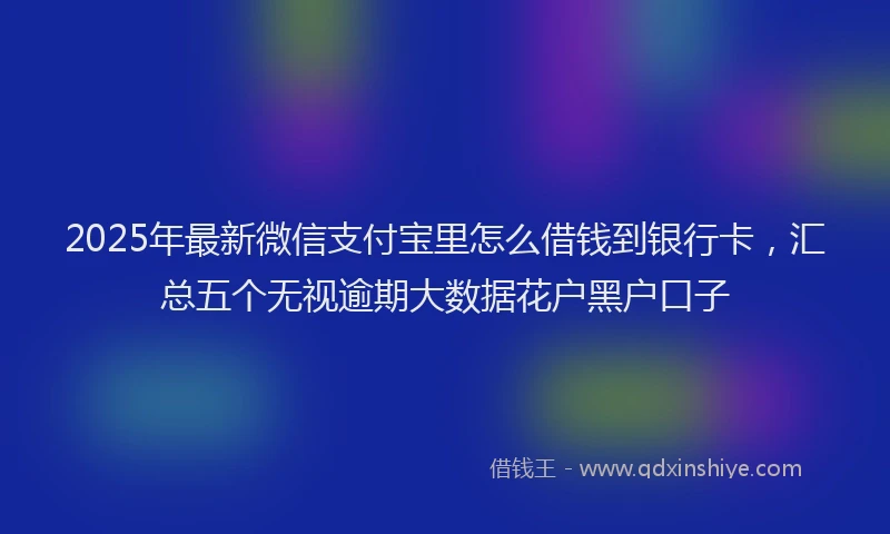 2025年最新微信支付宝里怎么借钱到银行卡，汇总五个无视逾期大数据花户黑户口子
