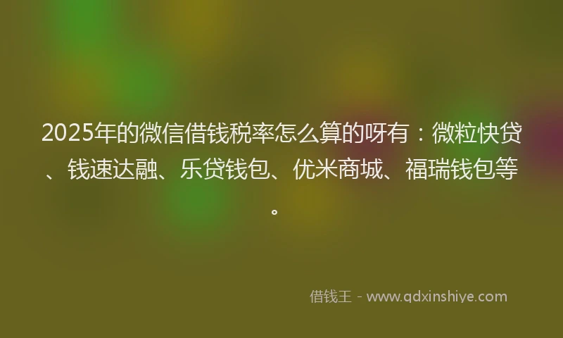 2025年的微信借钱税率怎么算的呀有：微粒快贷、钱速达融、乐贷钱包、优米商城、福瑞钱包等。