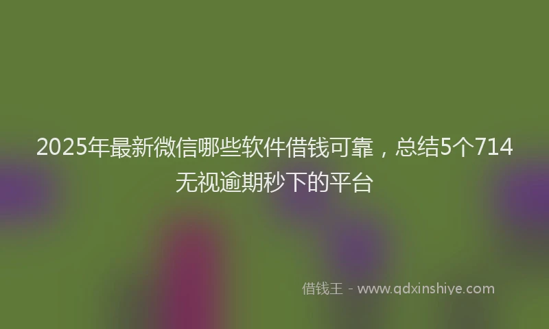 2025年最新微信哪些软件借钱可靠，总结5个714无视逾期秒下的平台