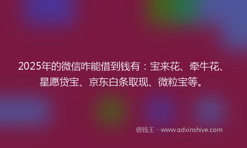 2025年的微信咋能借到钱有：宝来花、牵牛花、星愿贷宝、京东白条取现、微粒宝等。