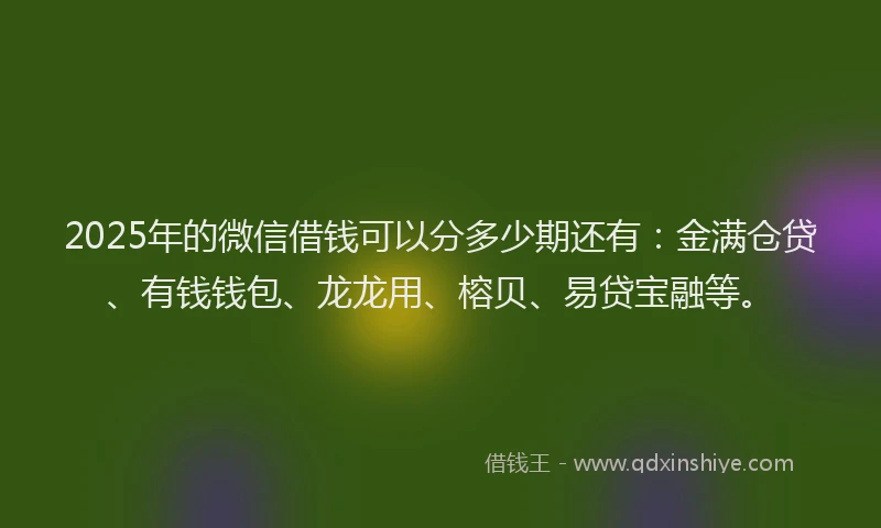 2025年的微信借钱可以分多少期还有：金满仓贷、有钱钱包、龙龙用、榕贝、易贷宝融等。