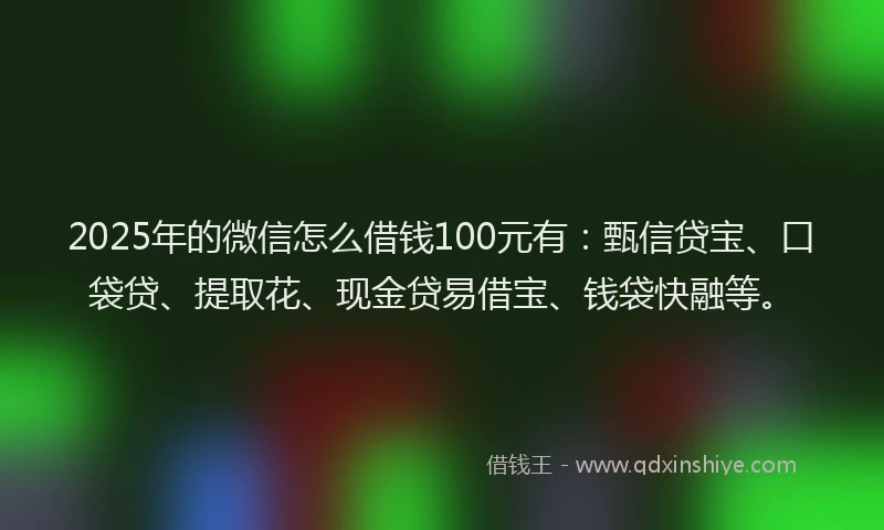 2025年的微信怎么借钱100元有：甄信贷宝、口袋贷、提取花、现金贷易借宝、钱袋快融等。