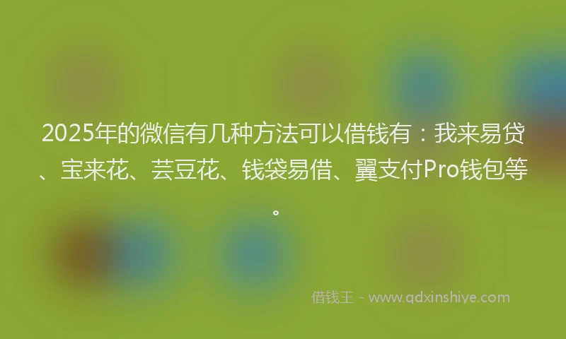 2025年的微信有几种方法可以借钱有：我来易贷、宝来花、芸豆花、钱袋易借、翼支付Pro钱包等。