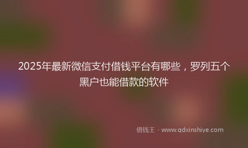 2025年最新微信支付借钱平台有哪些，罗列五个黑户也能借款的软件