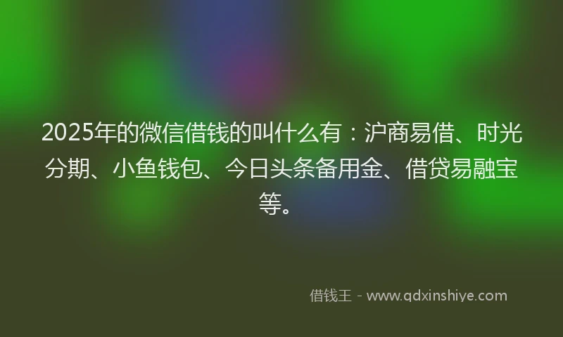 2025年的微信借钱的叫什么有：沪商易借、时光分期、小鱼钱包、今日头条备用金、借贷易融宝等。