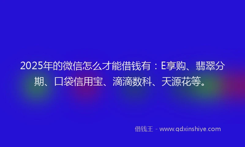 2025年的微信怎么才能借钱有:E享购、翡翠分期、口袋信用宝、滴滴数科、天源花等。