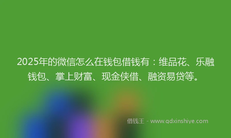 2025年的微信怎么在钱包借钱有：维品花、乐融钱包、掌上财富、现金侠借、融资易贷等。