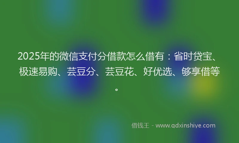 2025年的微信支付分借款怎么借有：省时贷宝、极速易购、芸豆分、芸豆花、好优选、够享借等。