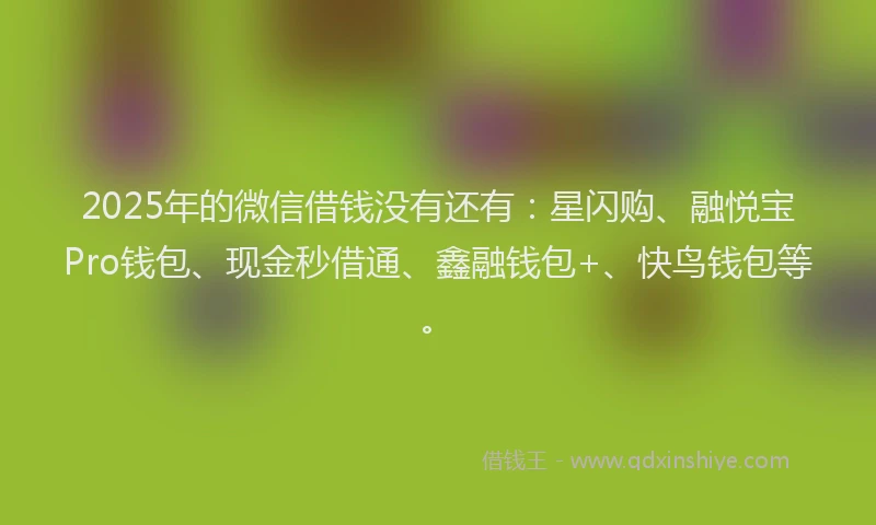 2025年的微信借钱没有还有：星闪购、融悦宝Pro钱包、现金秒借通、鑫融钱包+、快鸟钱包等。