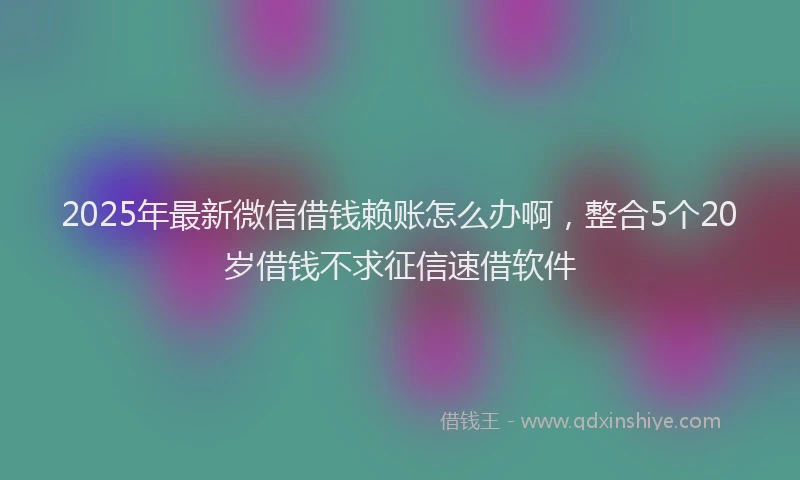 2025年最新微信借钱赖账怎么办啊，整合5个20岁借钱不求征信速借软件