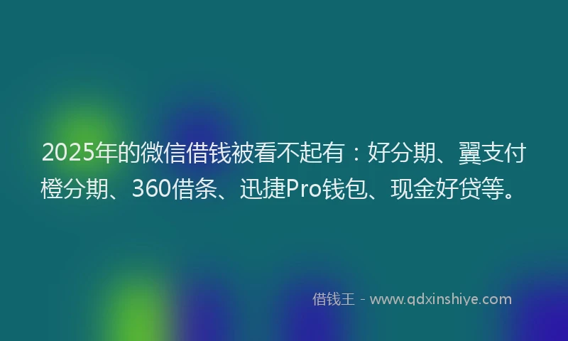 2025年的微信借钱被看不起有：好分期、翼支付橙分期、360借条、迅捷Pro钱包、现金好贷等。