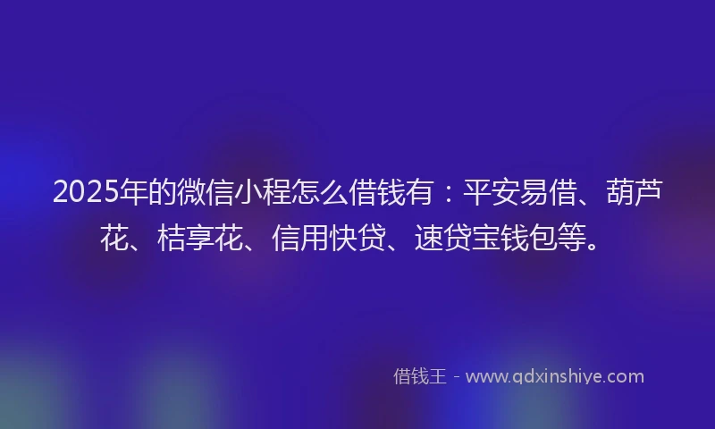 2025年的微信小程怎么借钱有：平安易借、葫芦花、桔享花、信用快贷、速贷宝钱包等。