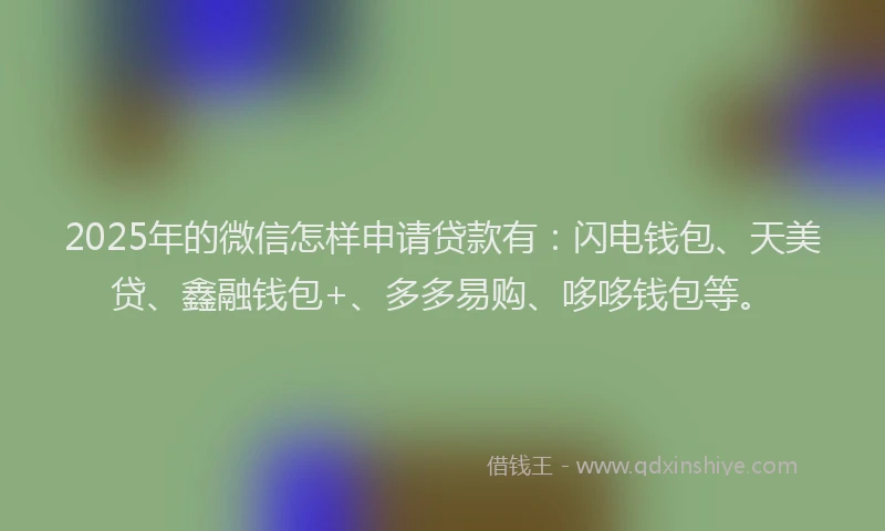 2025年的微信怎样申请贷款有：闪电钱包、天美贷、鑫融钱包+、多多易购、哆哆钱包等。