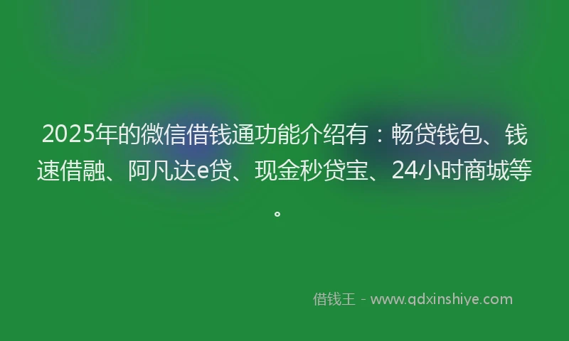 2025年的微信借钱通功能介绍有：畅贷钱包、钱速借融、阿凡达e贷、现金秒贷宝、24小时商城等。