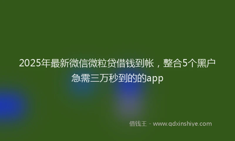 2025年最新微信微粒贷借钱到帐，整合5个黑户急需三万秒到的的app