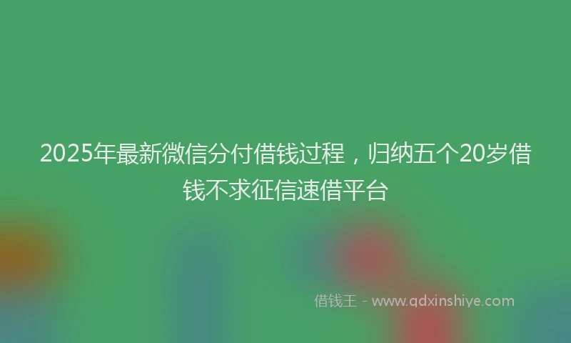 2025年最新微信分付借钱过程，归纳五个20岁借钱不求征信速借平台
