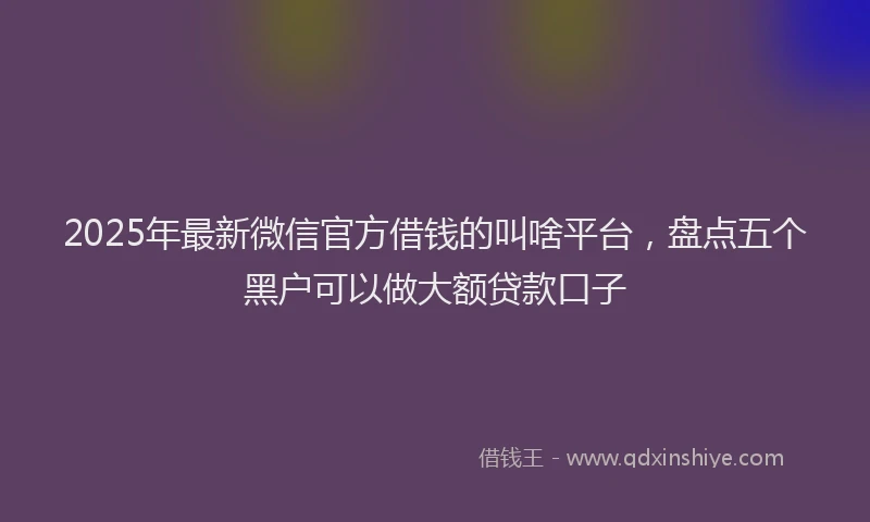 2025年最新微信官方借钱的叫啥平台，盘点五个黑户可以做大额贷款口子