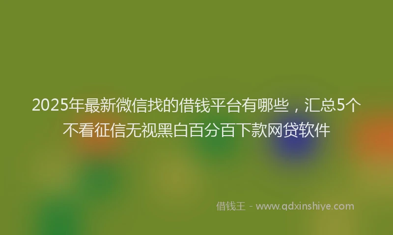 2025年最新微信找的借钱平台有哪些，汇总5个不看征信无视黑白百分百下款网贷软件