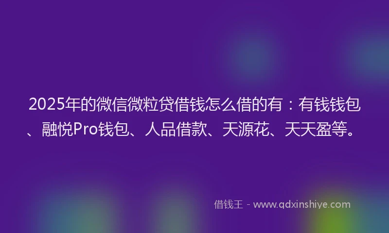 2025年的微信微粒贷借钱怎么借的有：有钱钱包、融悦Pro钱包、人品借款、天源花、天天盈等。