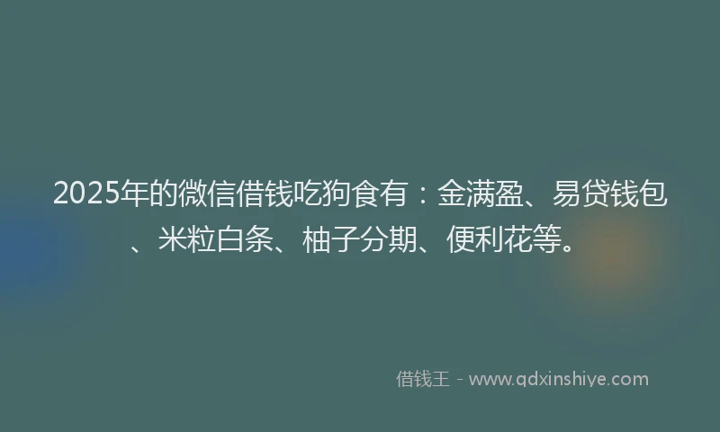 2025年的微信借钱吃狗食有：金满盈、易贷钱包、米粒白条、柚子分期、便利花等。