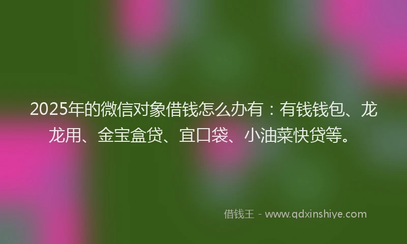 2025年的微信对象借钱怎么办有：有钱钱包、龙龙用、金宝盒贷、宜口袋、小油菜快贷等。