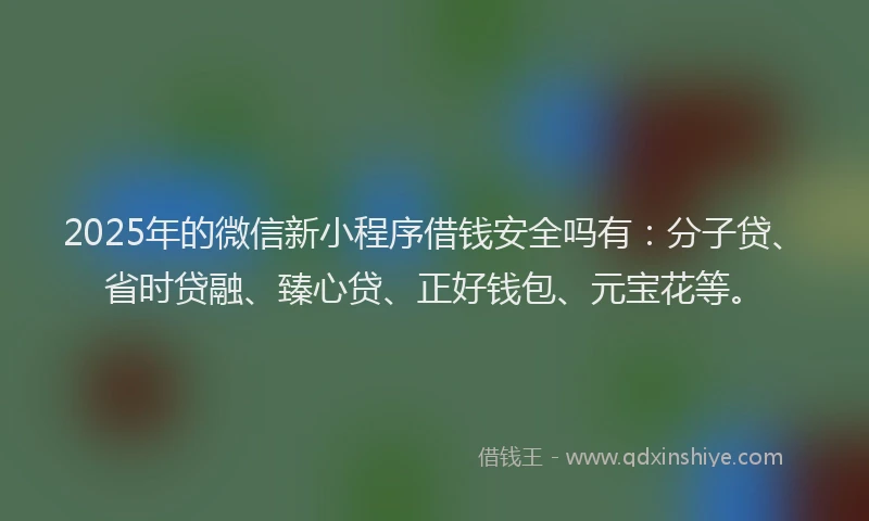 2025年的微信新小程序借钱安全吗有：分子贷、省时贷融、臻心贷、正好钱包、元宝花等。