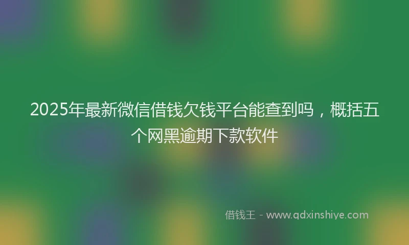 2025年最新微信借钱欠钱平台能查到吗，概括五个网黑逾期下款软件