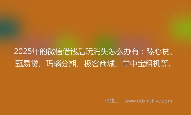 2025年的微信借钱后玩消失怎么办有：臻心贷、甄易贷、玛瑙分期、极客商城、掌中宝租机等。