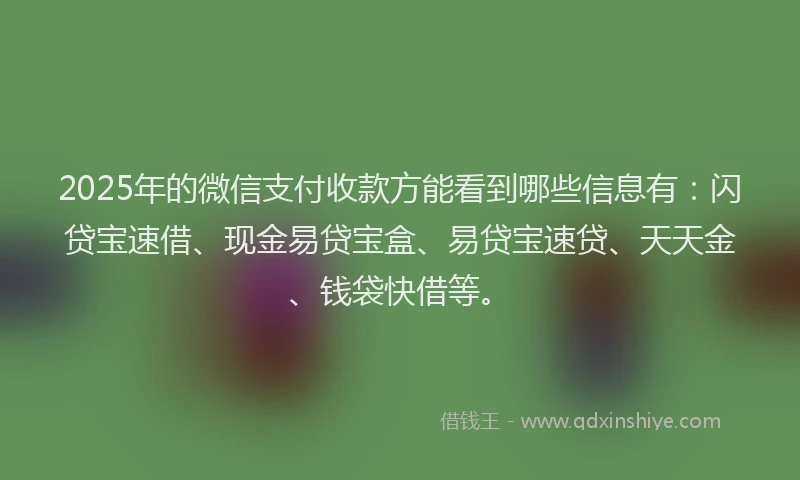2025年的微信支付收款方能看到哪些信息有：闪贷宝速借、现金易贷宝盒、易贷宝速贷、天天金、钱袋快借等。
