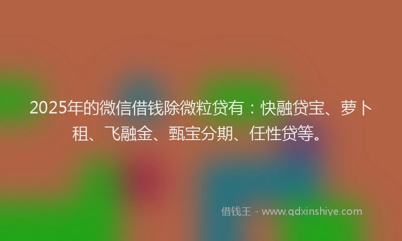 2025年的微信借钱除微粒贷有：快融贷宝、萝卜租、飞融金、甄宝分期、任性贷等。