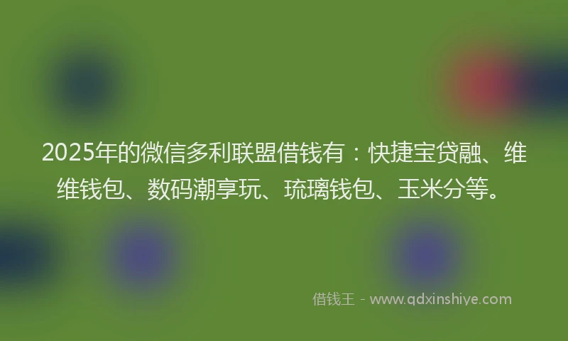 2025年的微信多利联盟借钱有：快捷宝贷融、维维钱包、数码潮享玩、琉璃钱包、玉米分等。