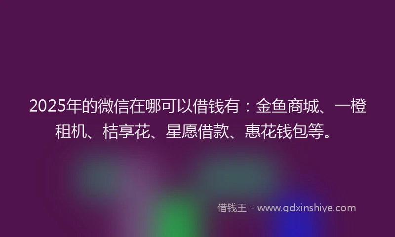 2025年的微信在哪可以借钱有：金鱼商城、一橙租机、桔享花、星愿借款、惠花钱包等。