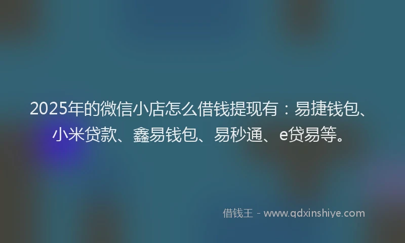 2025年的微信小店怎么借钱提现有：易捷钱包、小米贷款、鑫易钱包、易秒通、e贷易等。