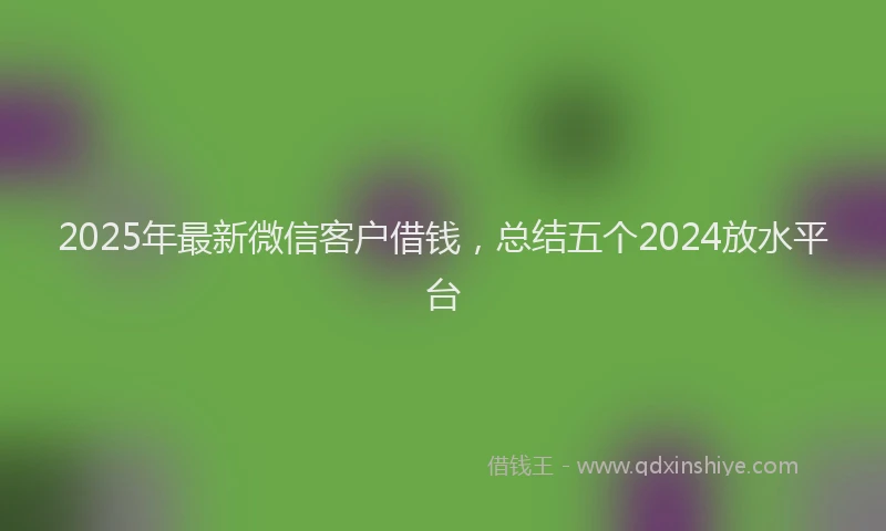 2025年最新微信客户借钱，总结五个2024放水平台