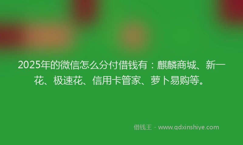 2025年的微信怎么分付借钱有：麒麟商城、新一花、极速花、信用卡管家、萝卜易购等。