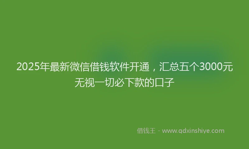 2025年最新微信借钱软件开通，汇总五个3000元无视一切必下款的口子